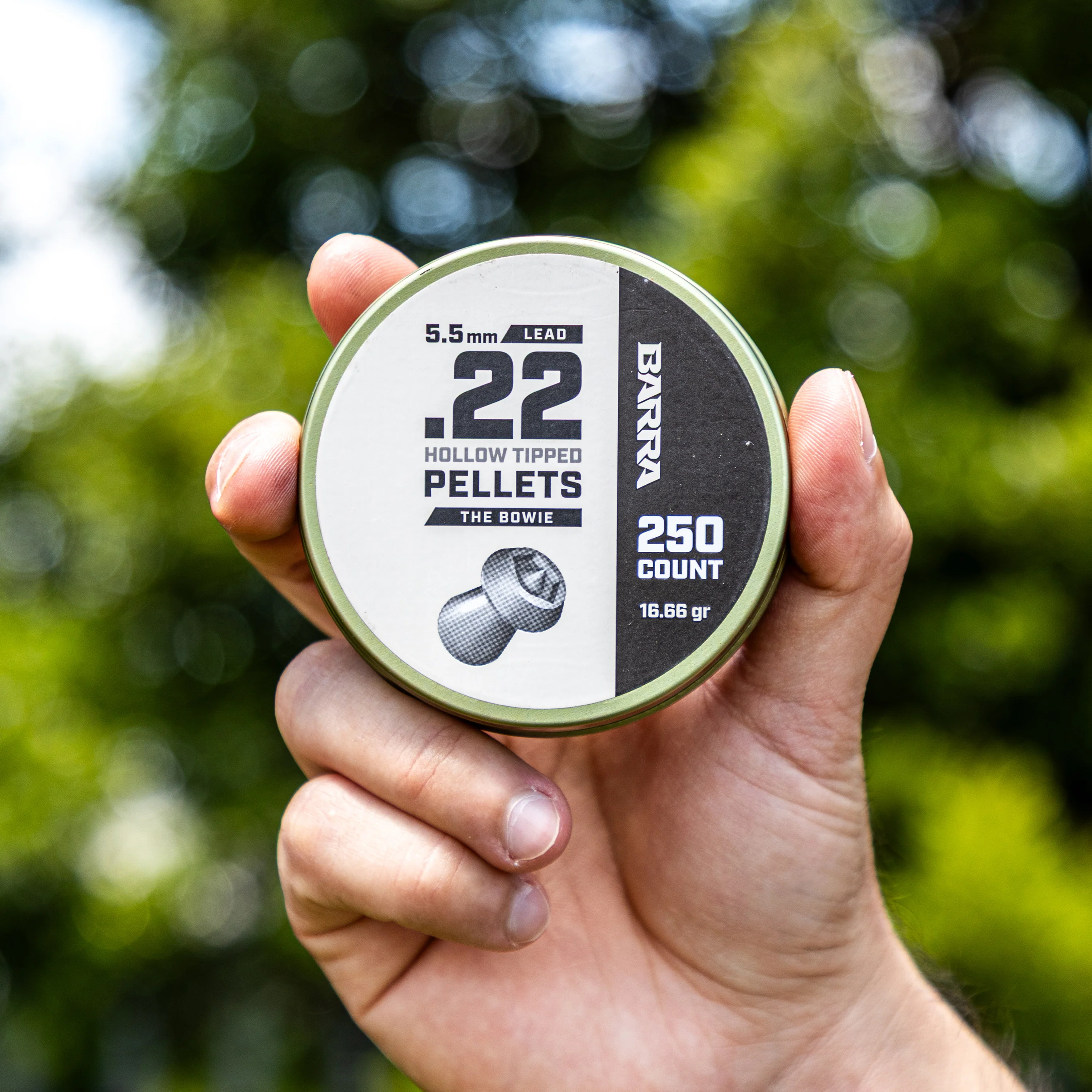 Bowie Hollow Tipped .22 Caliber Pellets - 250 Count - Image 2