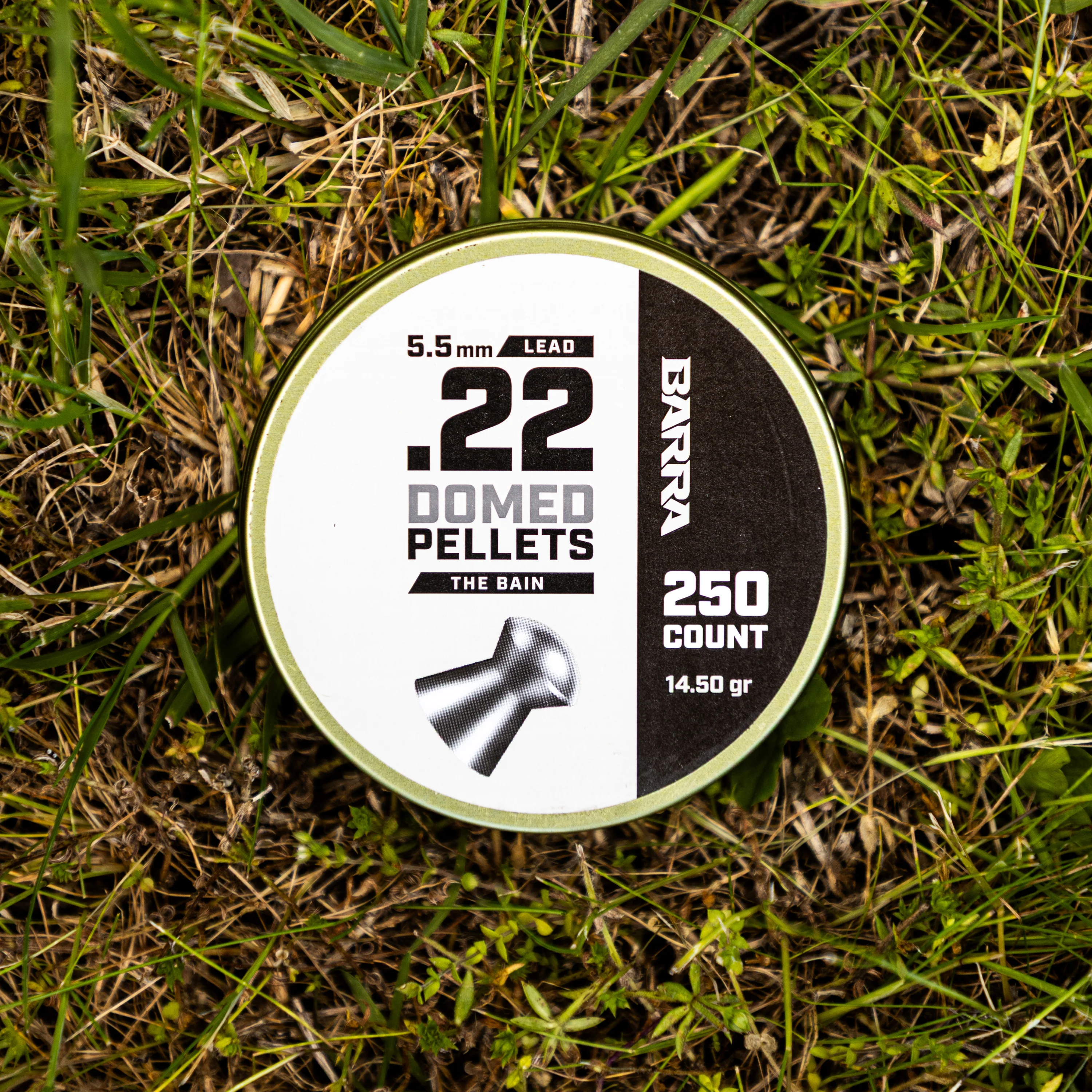 Bain Domed .22 Caliber Pellets - 250 Count - Image 3